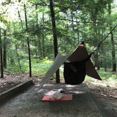 Review photo of Vogel State Park Campground by Rare E., August 8, 2018
