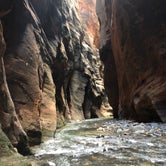 Review photo of South Campground — Zion National Park by Hannah S., August 8, 2018