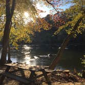 Review photo of French Broad River Area by Olivia R., August 8, 2018