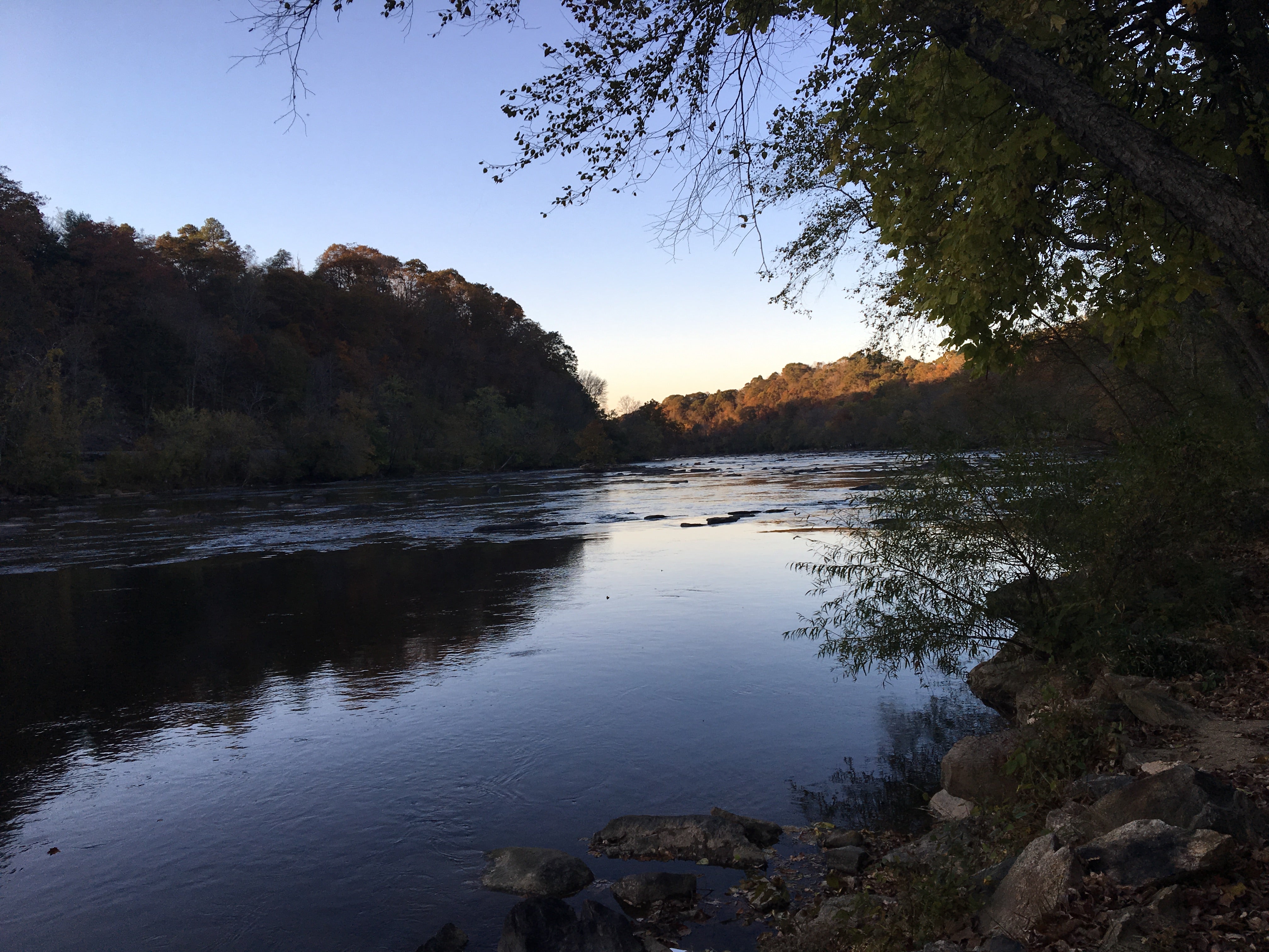 Camper submitted image from French Broad River Area - 2