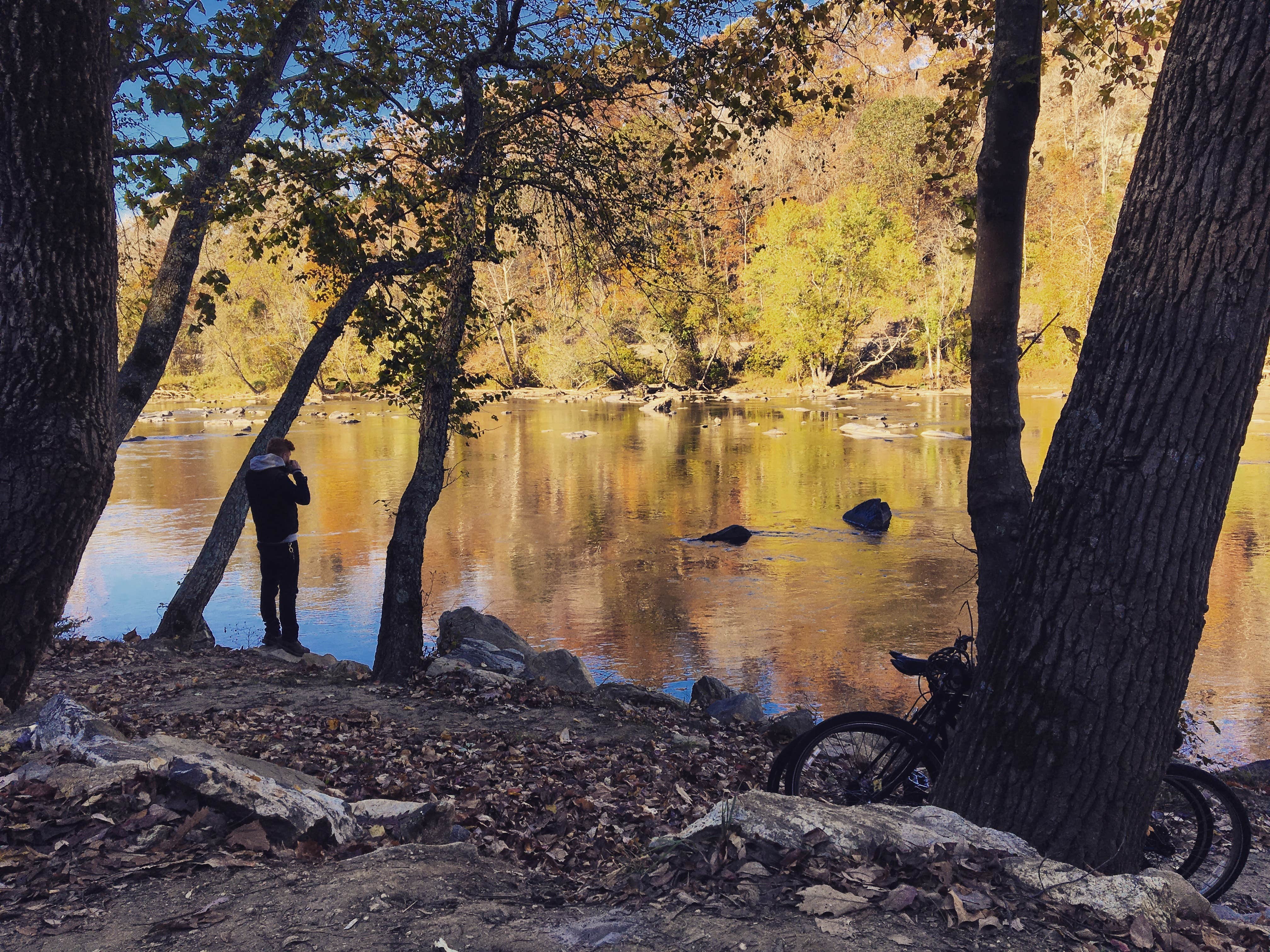 Camper-submitted photo at French Broad River Area near Del Rio, TN