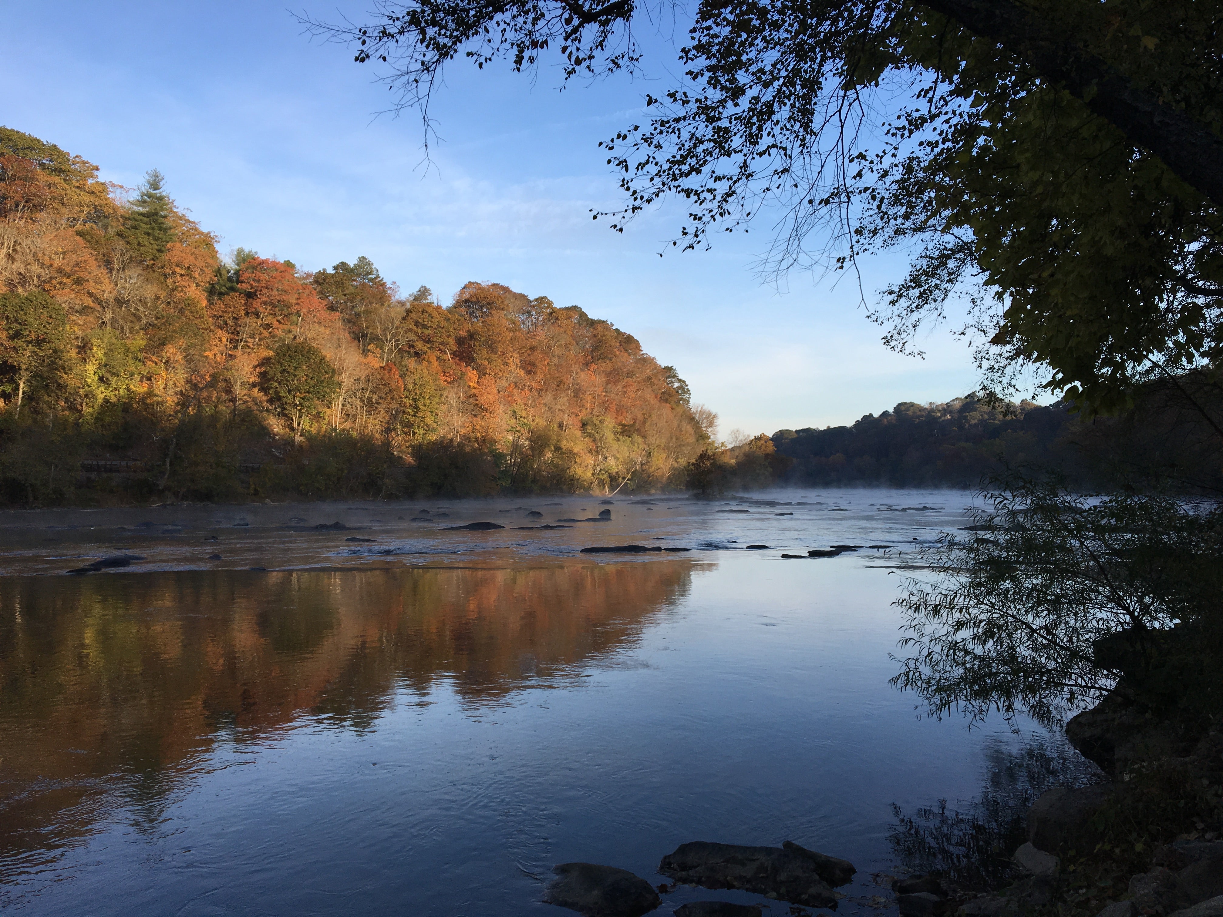 Camper submitted image from French Broad River Area - 1