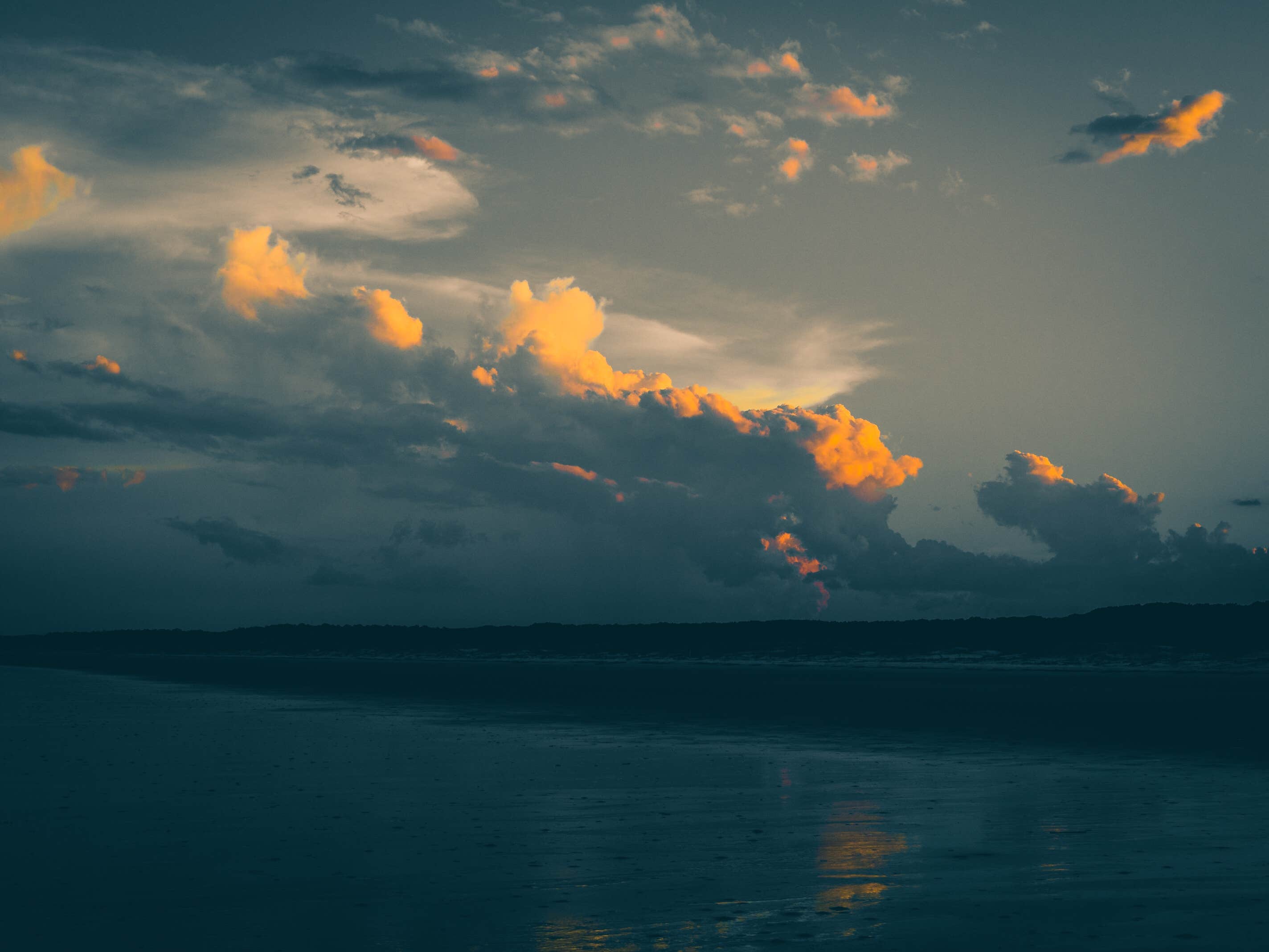 Camper-submitted photo at Stafford Beach Campground — Cumberland Island National Seashore near Cumberland Island National Seashore