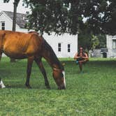 Review photo of Stafford Beach Campground — Cumberland Island National Seashore by Rare E., August 8, 2018