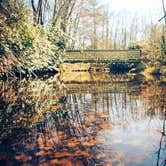 Review photo of Julian Price Park Campground — Blue Ridge Parkway by Meg  S., July 1, 2015