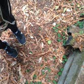 Review photo of Elk Prairie Campground — Prairie Creek Redwoods State Park by Crystal C., August 8, 2018
