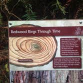 Review photo of Elk Prairie Campground — Prairie Creek Redwoods State Park by Crystal C., August 8, 2018