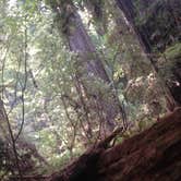Review photo of Elk Prairie Campground — Prairie Creek Redwoods State Park by Crystal C., August 8, 2018