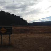 Review photo of Elk Prairie Campground — Prairie Creek Redwoods State Park by Crystal C., August 8, 2018