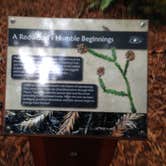 Review photo of Elk Prairie Campground — Prairie Creek Redwoods State Park by Crystal C., August 8, 2018