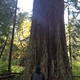 Review photo of Elk Prairie Campground — Prairie Creek Redwoods State Park by Crystal C., August 8, 2018