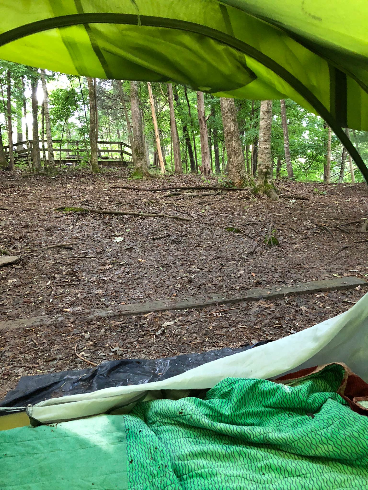 Rachelle W.'s photo at Edgar Evins State Park Campground near Cookeville, TN