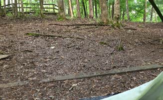 Rachelle W.'s photo at Edgar Evins State Park Campground near Woodbury, TN