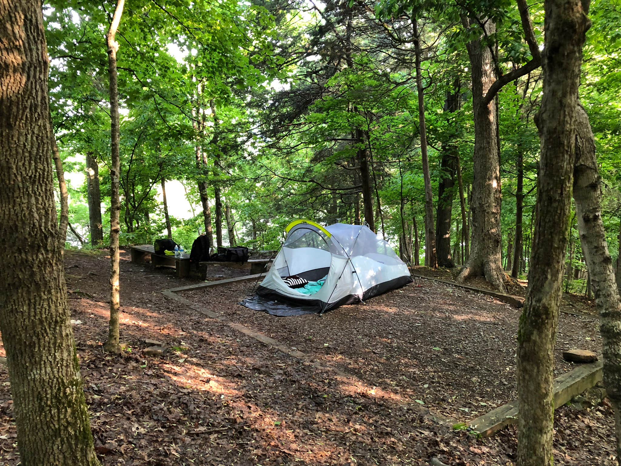 Rachelle W.'s photo at Edgar Evins State Park Campground near Carthage, TN