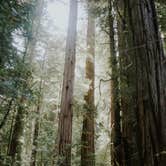 Review photo of Mill Creek Campground — Del Norte Coast Redwoods State Park by LAUREN B., August 8, 2018