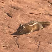 Review photo of Devils Garden Campground — Arches National Park by Crystal C., August 8, 2018