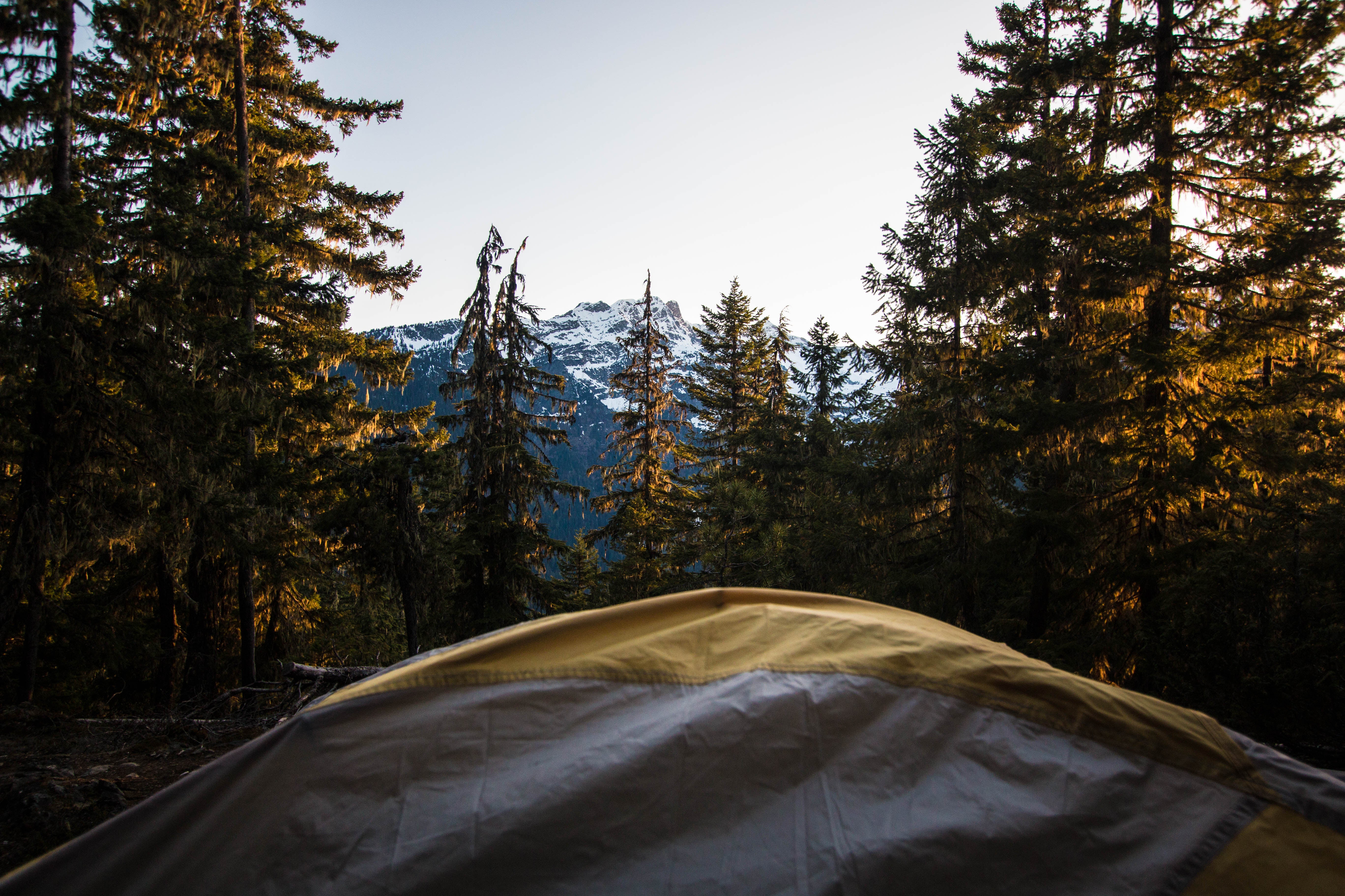 Camper submitted image from Fourth of July Pass — Ross Lake National Recreation Area - 3