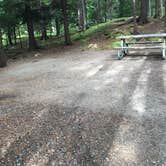 Review photo of Blackwoods Campground — Acadia National Park by Courtney  V., August 8, 2018
