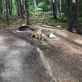 Review photo of Blackwoods Campground — Acadia National Park by Courtney  V., August 8, 2018