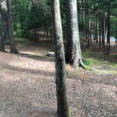 Review photo of Blackwoods Campground — Acadia National Park by Courtney  V., August 8, 2018