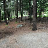 Review photo of Blackwoods Campground — Acadia National Park by Courtney  V., August 8, 2018