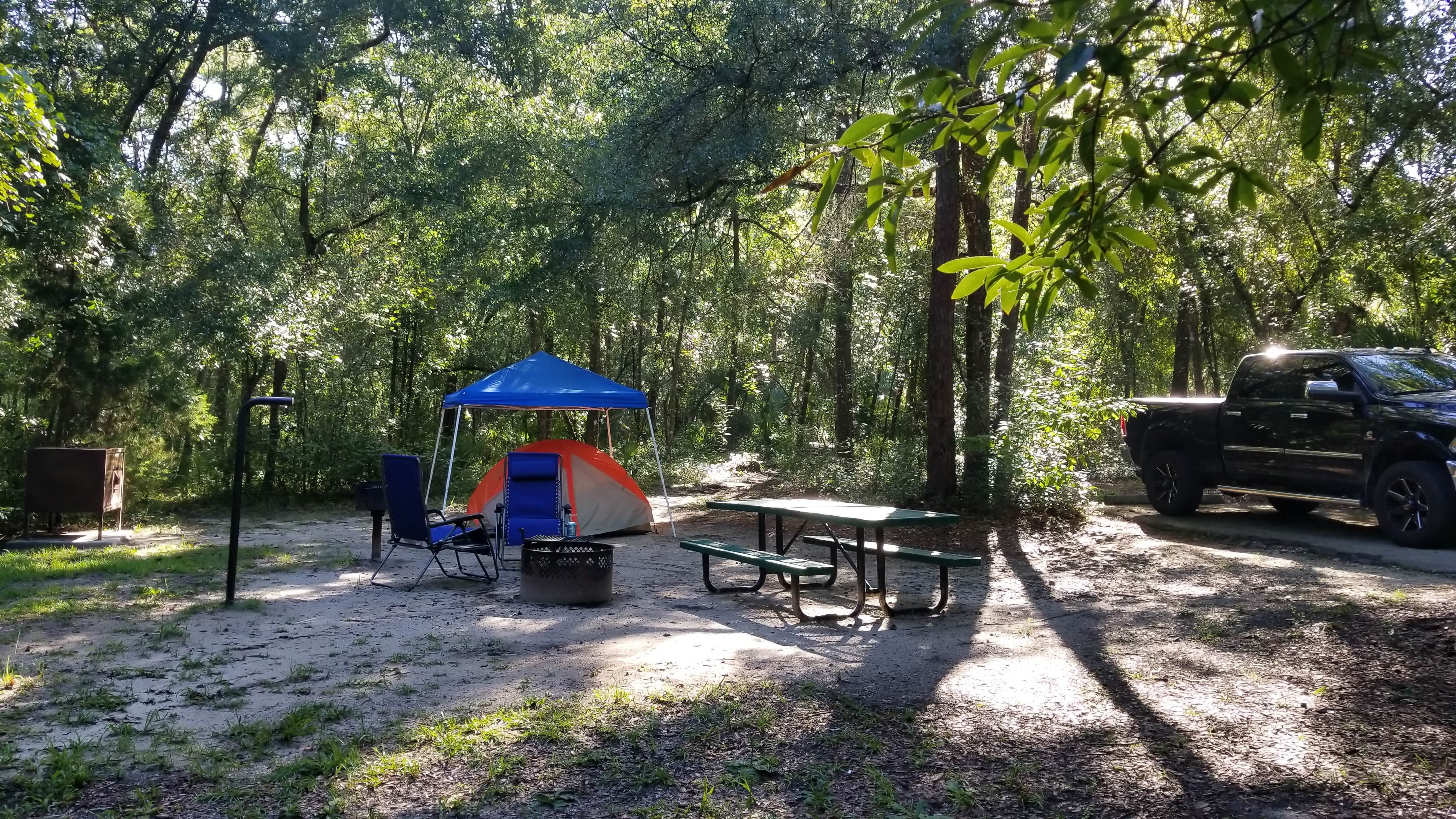 Alexander springs discount recreation area camping