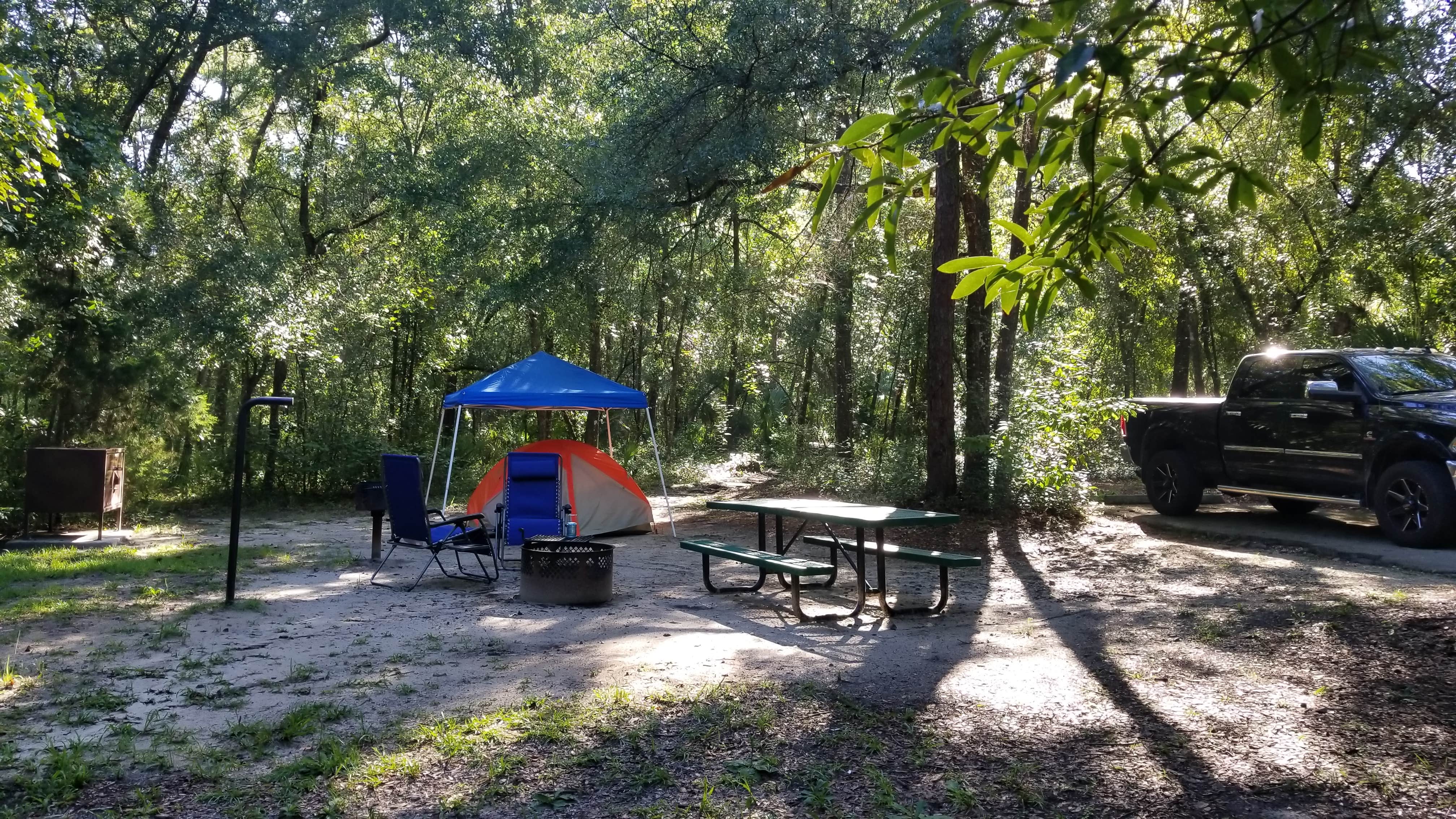 Camper submitted image from Alexander Springs Recreation Area - 3