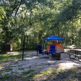Review photo of Alexander Springs Recreation Area by ALEJANDRA G., August 8, 2018