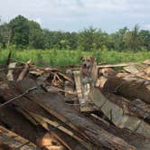 Review photo of Afton State Park Campground by Kelly K., August 8, 2018