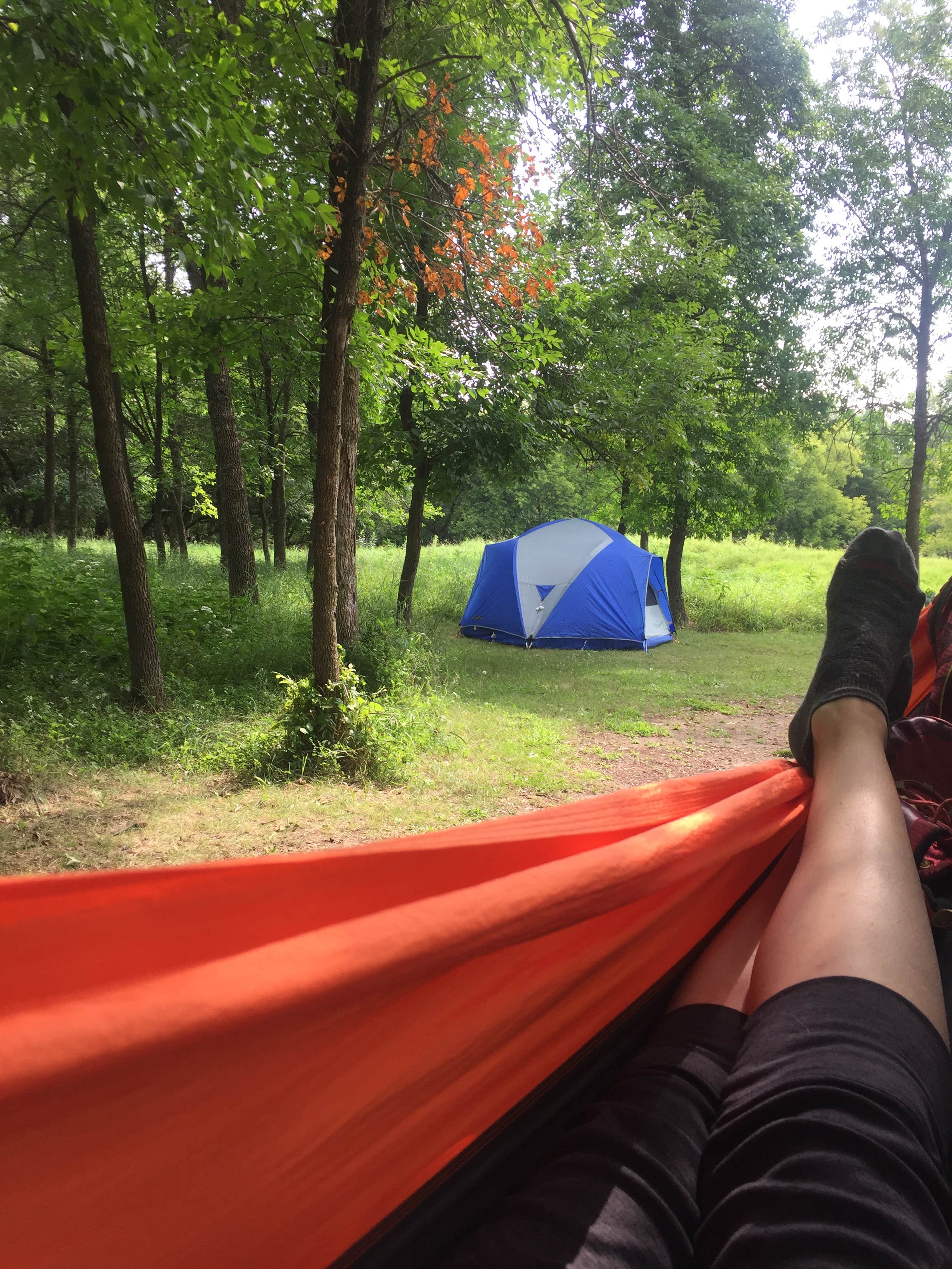Kelly K.'s photo of tent camping at Afton State Park Campground near Savage, MN
