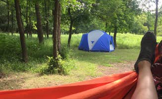 Kelly K.'s photo of tent camping at Afton State Park Campground near Lakeland, MN