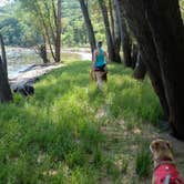 Review photo of Afton State Park Campground by Kelly K., August 8, 2018