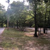Review photo of Cooper Creek Resort by Aaron W., August 8, 2018