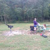 Review photo of Ledges State Park Campground by Anna B., August 8, 2018