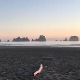 Review photo of Shi Shi Beach by Robert P., August 8, 2018