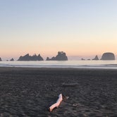 Review photo of Shi Shi Beach — Olympic National Park by Robert P., August 8, 2018