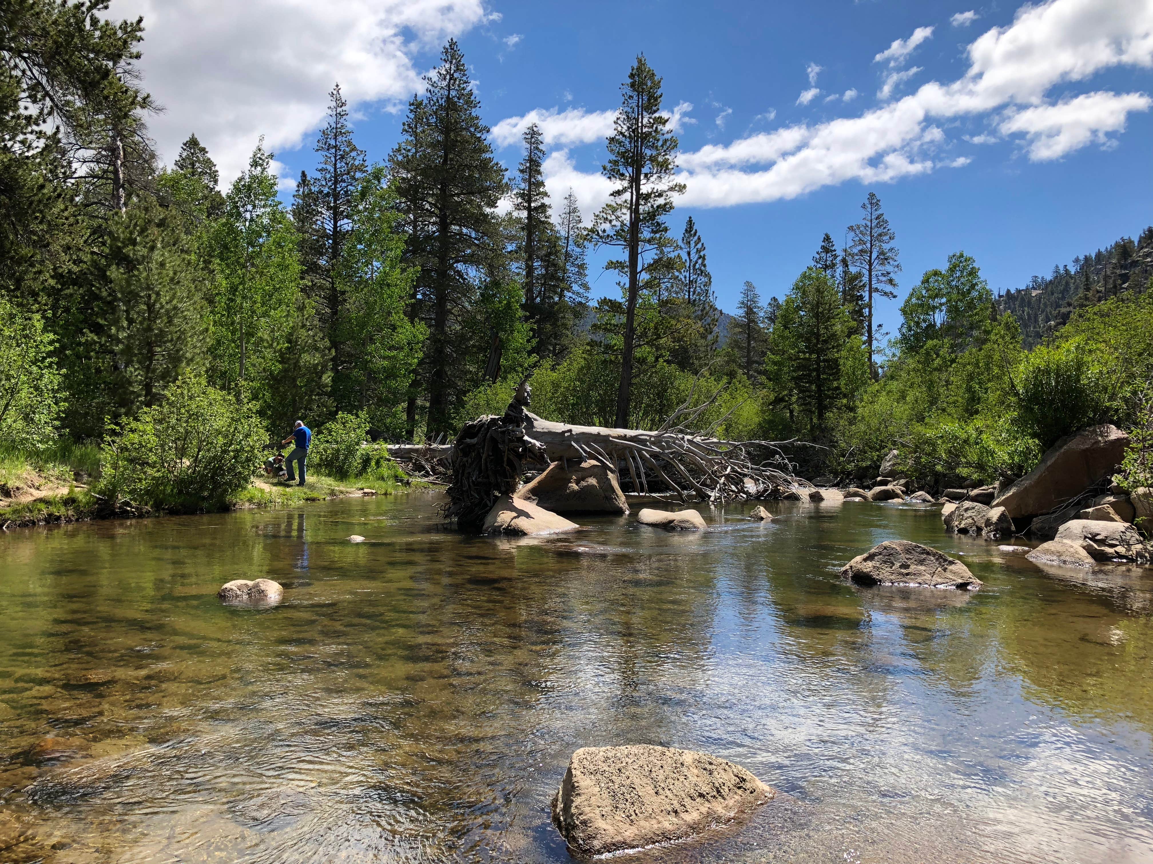 Camper submitted image from Kit Carson Campground - 5