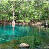 Review photo of Manatee Springs State Park Campground by Terry A., August 8, 2018