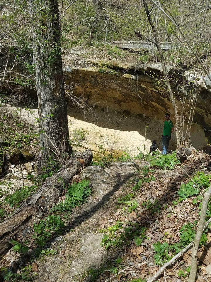 Camper submitted image from Graham Cave State Park Campground - 2