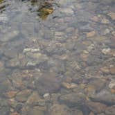 Review photo of Red Bluff Campground by Mara F., July 19, 2016