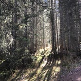 Review photo of Priest Lake Dispersed Camping Area by Crystal C., August 8, 2018