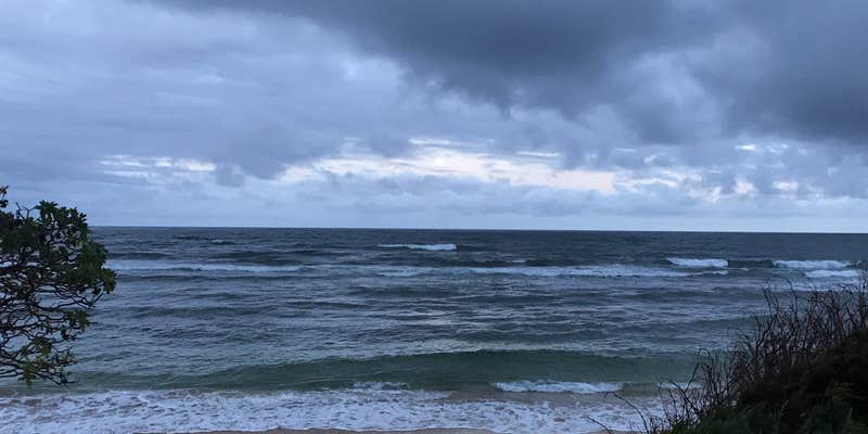 Camper submitted image from Lydgate State Park Campground