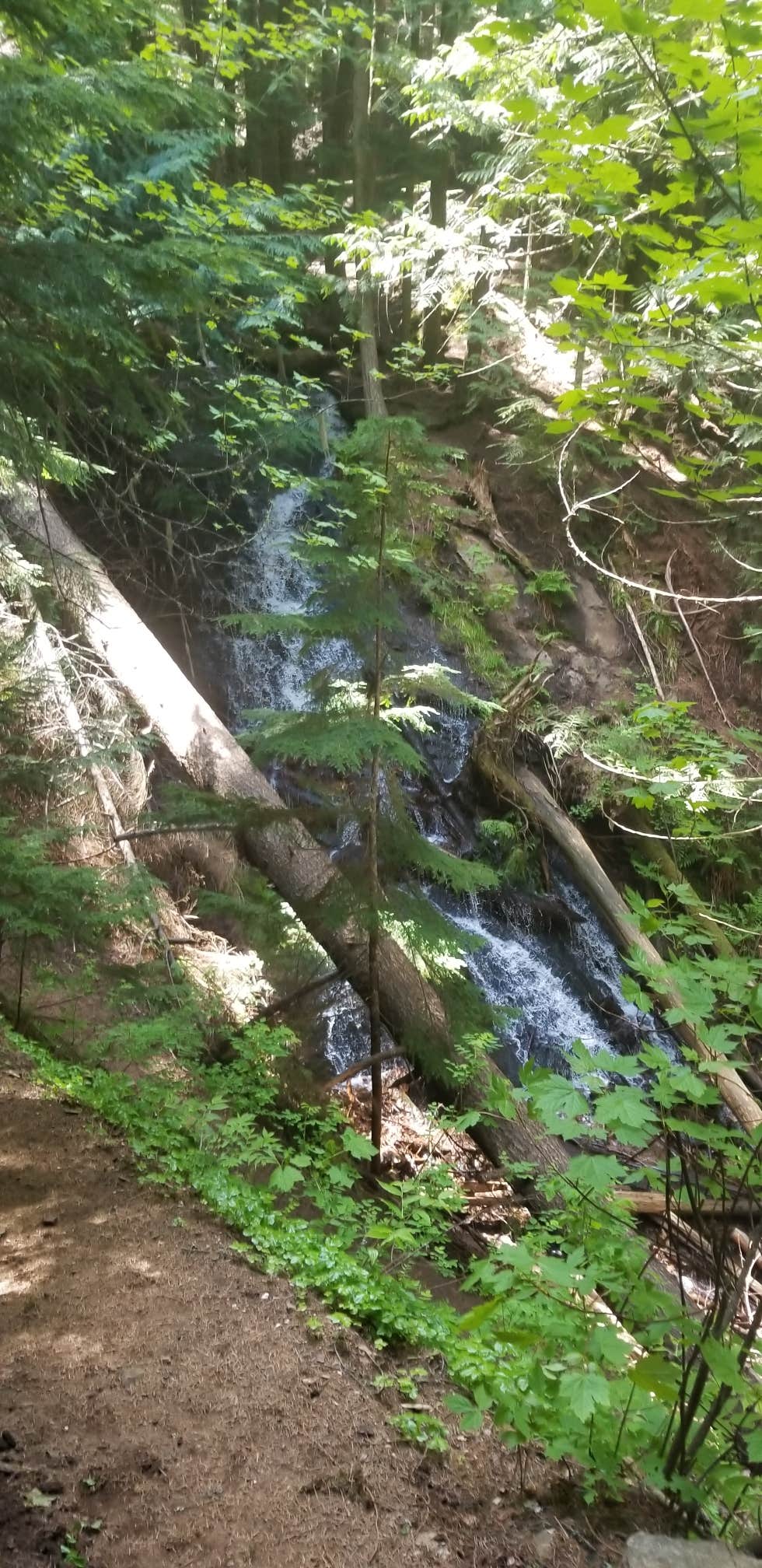 Camper-submitted photo at Liberty Lake Regional Park near Spokane Valley, WA