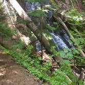 Review photo of Liberty Lake Regional Park by Myresa J., August 8, 2018