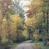 Review photo of Coolidge State Park Campground by Cliff M., August 8, 2018