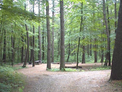 Camper-submitted photo at Wells State Park Campground near Millville, MA