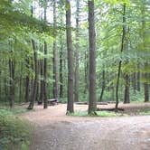 Review photo of Wells State Park Campground by Cliff M., August 8, 2018