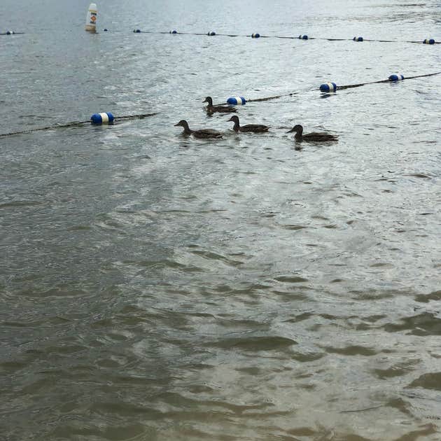 Park Station Campground Erin, NY