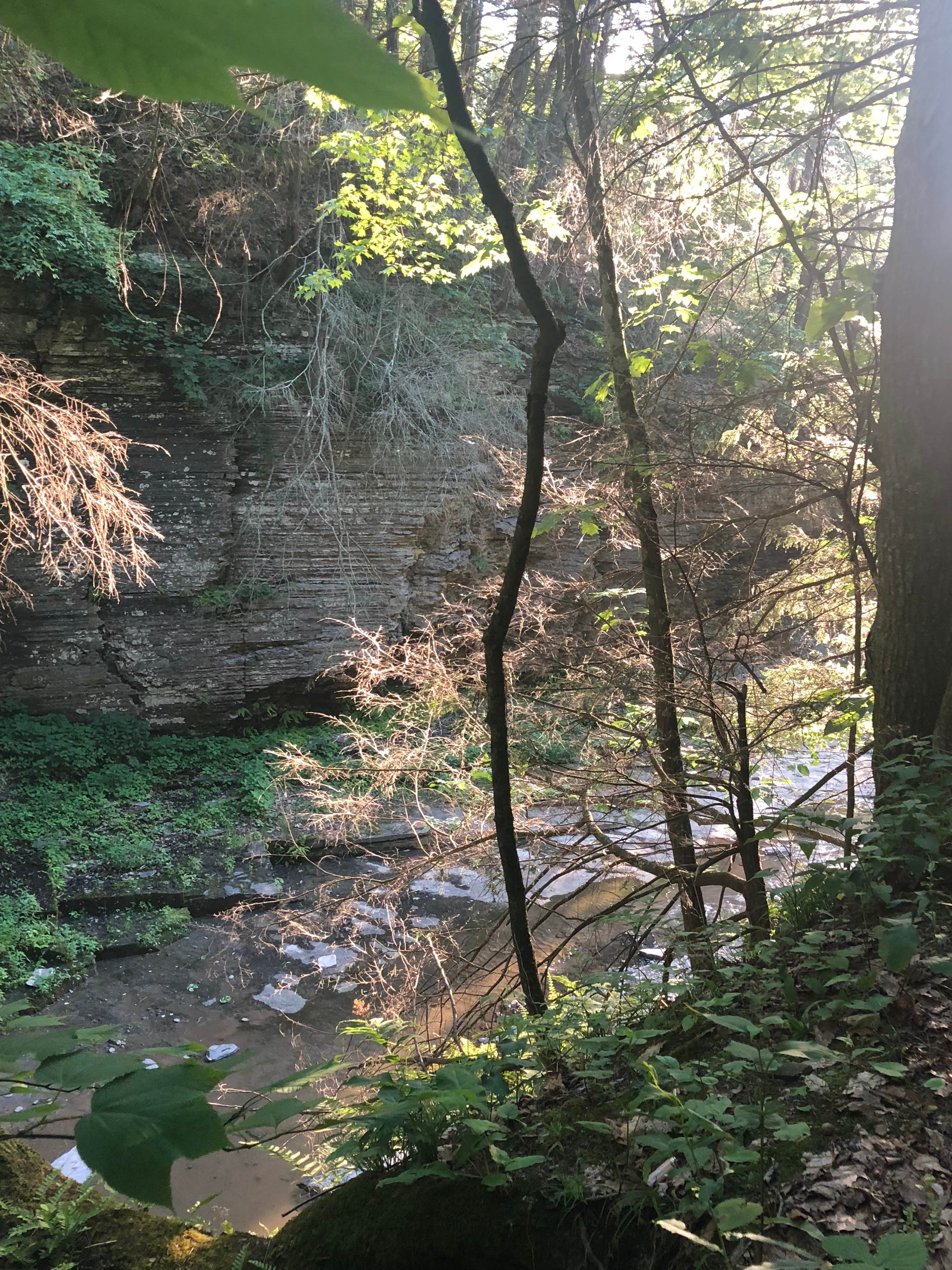 Camper-submitted photo at Havana Glen near Big Flats, NY
