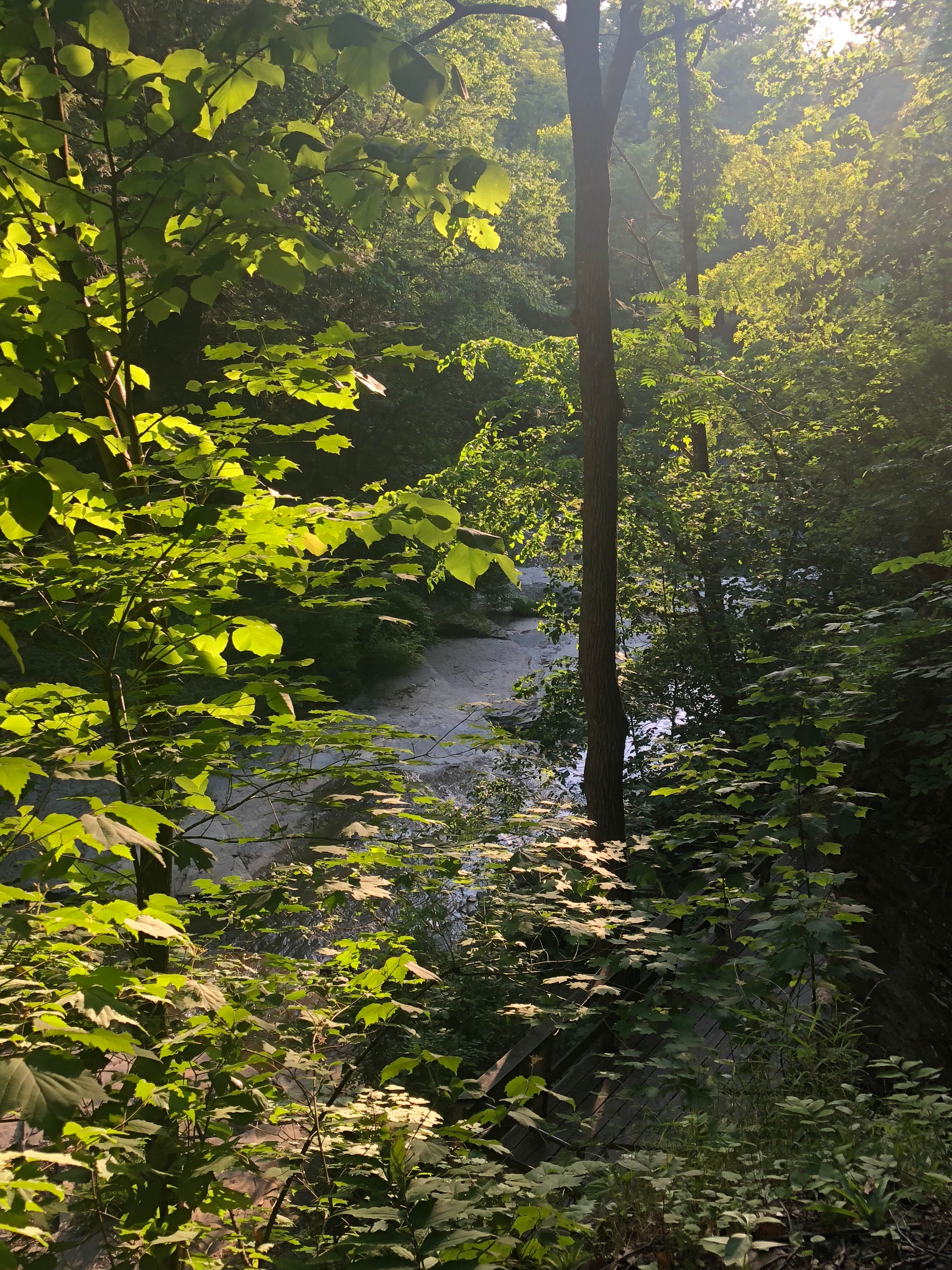 Camper-submitted photo at Havana Glen near Big Flats, NY